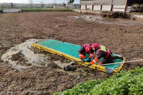 A cow trapped in a deep slurry pit in south Leicestershire was brilliantly rescued from a horrible death by firefighters from Lutterworth.