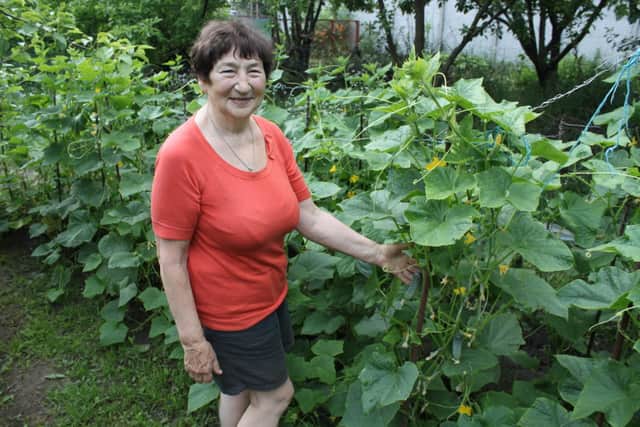 Maryna Krasylova with her crops. Photo supplied