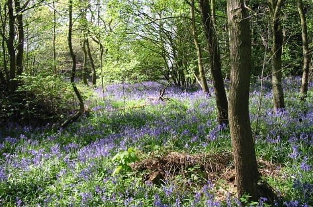 Hartshill Hayes Country Park has been awarded the Learning Outside the Classroom (LOtC) quality badge for the first time.