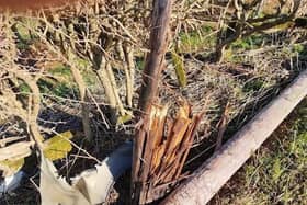 The broken telegraph pole in Priors Marston which is causing the internet outage.