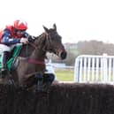 Espoir De Guye clears the last in the Feldon Dunsmore Budbrooke Handicap Chase Warwick Races on Fiver Friday last month  (Picture by David Pratt)