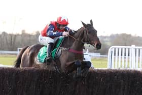 Espoir De Guye clears the last in the Feldon Dunsmore Budbrooke Handicap Chase Warwick Races on Fiver Friday last month  (Picture by David Pratt)