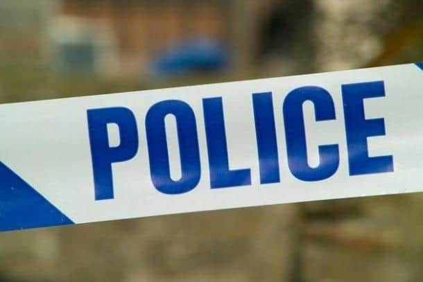 An abusive dog walker was pinned to the ground in his own dog's mess after he refused to pick it up and then then turned violent.