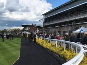 Warwick races