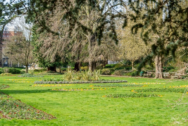 Our photographer visited Jephson Gardens to take photos which will lift your spirits and show that spring is arriving.