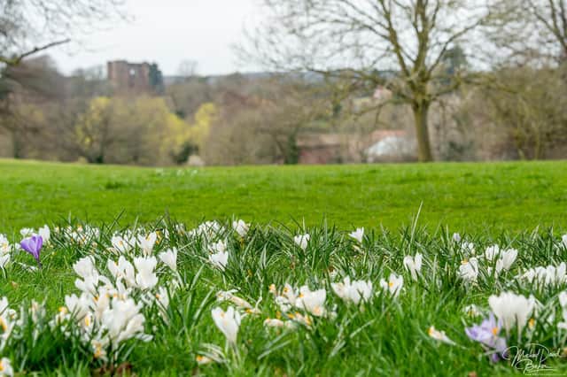 Our photographer Mike Baker took his camera to Kenilworth's much-loved beauty spot to capture these images.