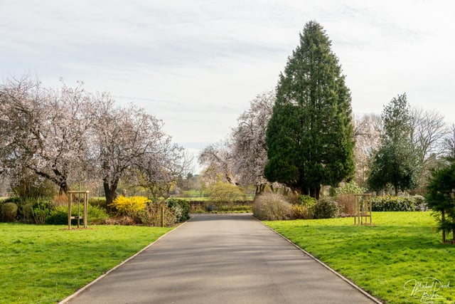 Our photographer Mike Baker took his camera to Warwick's much-loved parks to capture these images