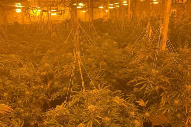 A cannabis farm in a unit on the Bayton Road Industrial Estate was discovered and shut down yesterday, Wednesday.