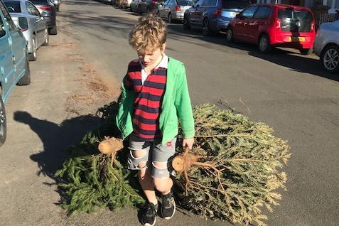 Edward in Year 5 did a Christmas tree clear up for the fundraising challenge.