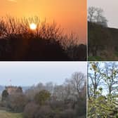 Our borough looks beautiful in the sunrise.
