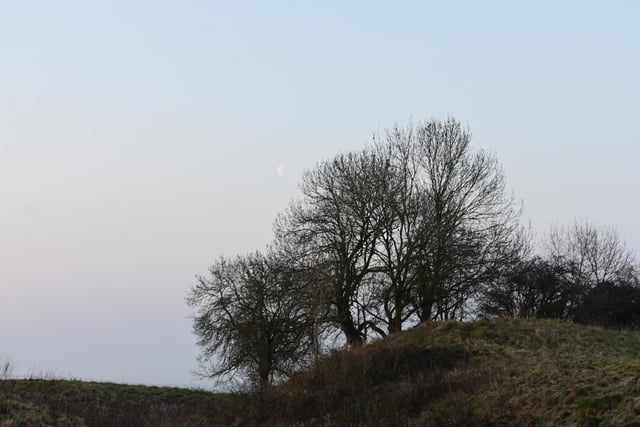 You can still see the moon - just to the left of the centre tree.