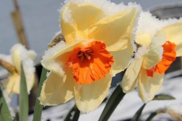 Just a week after temperatures got close to 20°C one Met Office forecaster warned of "a taste of most of the seasons within the space of a few days”.