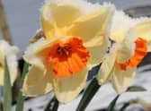 Just a week after temperatures got close to 20°C one Met Office forecaster warned of "a taste of most of the seasons within the space of a few days”.