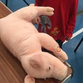 Piggy was the 'star repair' at the Repair Café in Leamington earlier this month. His snoring sound was successfully restored.