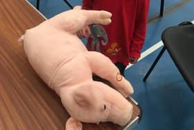 Piggy was the 'star repair' at the Repair Café in Leamington earlier this month. His snoring sound was successfully restored.