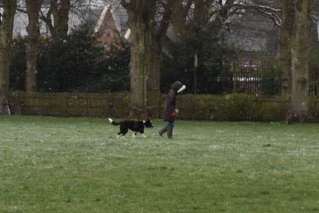 A dog walker braves the extreme weather at Whitehall Rec.