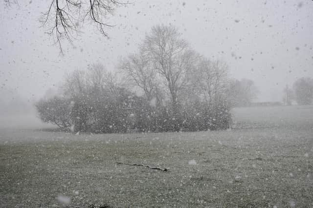 The snow was as its heaviest at around 9.30am - as seen in this dramatic photo.