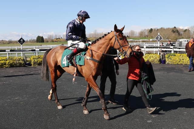 Rikoboy is led into the winners enclosure after his success in the Lewis Badges Limited Handicap Chase PICTURE BY DAVID PRATT
