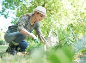 As May kicks in, green-fingered Brits have been given a list of essential gardening jobs to get done during May
