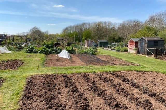 Canalside Allotments in Warwick. Photo by Liz Healey