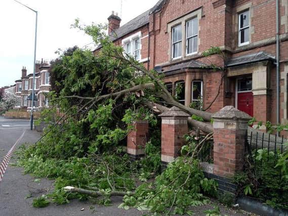 A huge tree branch came crashing down inn Warwick Place. Photo by Jacqui Milton.