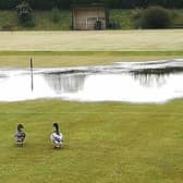 No croquet here today, me duck!