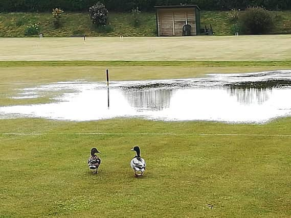 No croquet here today, me duck!