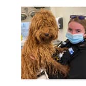 PC Bryony Lord, Rugby Safer Neighbourhood team is pictured with Blossom.