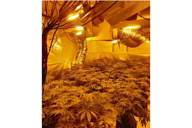 our arrests were made on Thursday (May 6) in connection with cannabis cultivation at a home in Radford Semele. Photo by Warwickshire Police