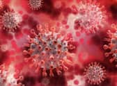 A small number of cases of the Indian Covid variant have been detected in Warwickshire.