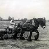 The way we were... rural Warwickshire in days gone by.