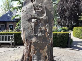 The tree sculpture in Jephson Gardens in Leamington which is due to be removed. Photo supplied