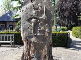 The tree sculpture in Jephson Gardens in Leamington which is due to be removed. Photo supplied