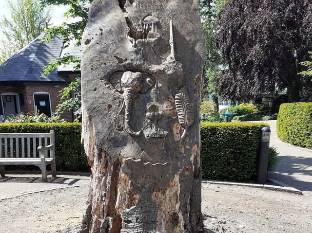 The tree sculpture in Jephson Gardens in Leamington which is due to be removed. Photo supplied