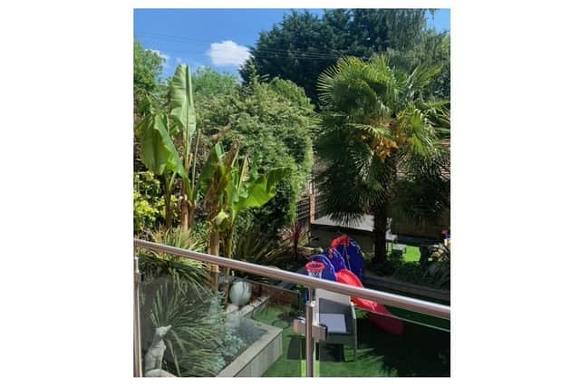 Richard Evans bananas are now growing in his tropical Warwick garden