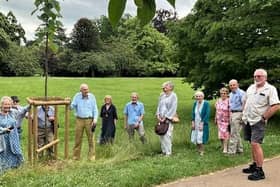 The Paulownia Tomentosum tree-planting ceremony in honour of Paul Edwards at Jephson Gardens in Leamington.
