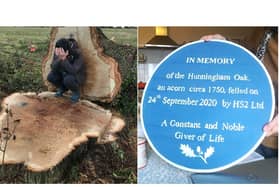 The photo on the left became an iconic image as protester Kerry O'Grady mourned the felling of the Hunningham Oak. Right: The blue plaque for the Hunningham Oak.