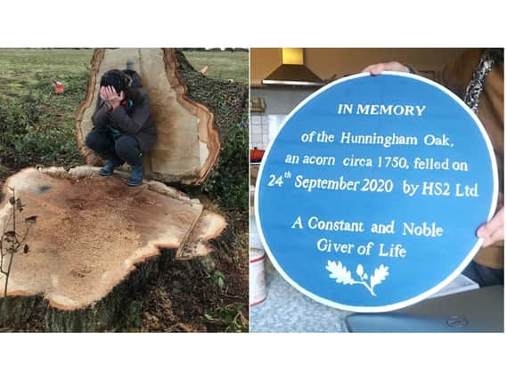 The photo on the left became an iconic image as protester Kerry O'Grady mourned the felling of the Hunningham Oak. Right: The blue plaque for the Hunningham Oak.