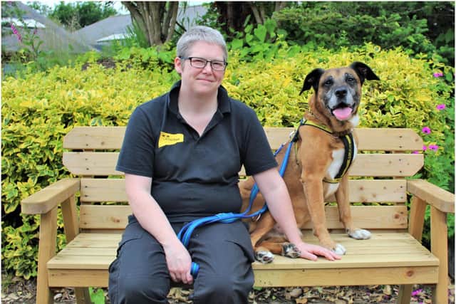 Fostering co-ordinator Sabrina Holder is pictured with Murphy who would love to spend time in a foster home until it's time to head off to his forever home. Photo supplied