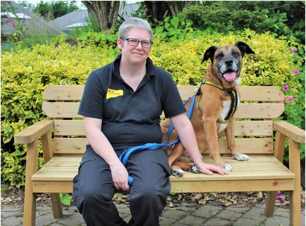 Fostering co-ordinator Sabrina Holder is pictured with Murphy who would love to spend time in a foster home until it's time to head off to his forever home. Photo supplied