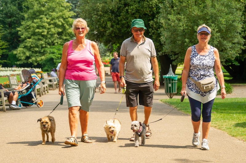 People in Leamington enjoyed the sunshine this week as temperatures soared and there was a 'feel good' mood around the town centre after lockdown restrictions were lifted nationwide on Monday (July 19). Jephson Gardens was full of activity on Tuesday when this photo was taken.