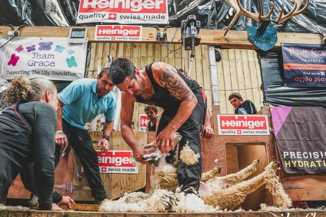 Stuart sheared 872 sheep in nine hours to break the world record. Credit Emily Fleur.