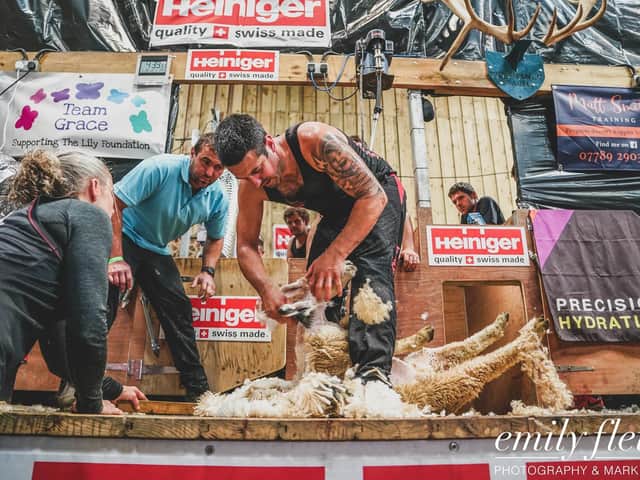 Stuart sheared 872 sheep in nine hours to break the world record. Credit Emily Fleur.