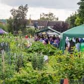 The Wellesbourne Allotments NGS Open Day. Photo by Rob Lavers.