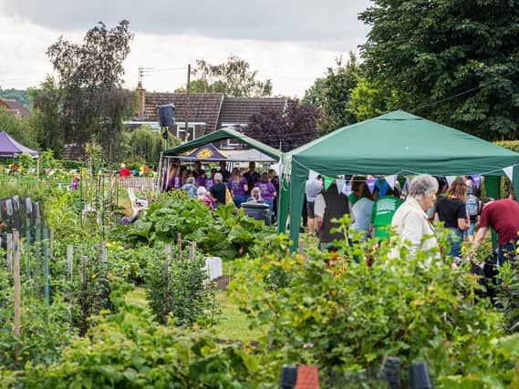 The Wellesbourne Allotments NGS Open Day. Photo by Rob Lavers.