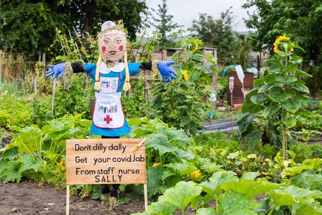 The winning scarecrow competition entry,  Covid Nurse Sally. Photo by Rob Lavers.