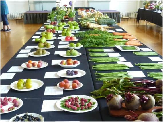 The Warwick Horticultural and Allotment Society is set to host its annual show. Photo from the show in 2019. Photo by the Warwick Horticultural and Allotment Society