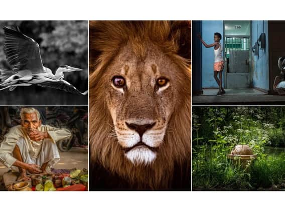 Some of the amazing photographs from the Leamington Spa Photographic Society that will be on display at a free exhibition in town.