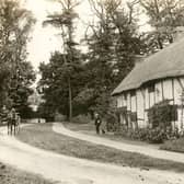 A rural scene in the Rugby area of long ago.