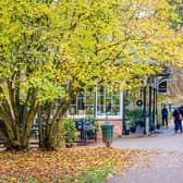 Jephson Gardens in the autumn of 2020. Copyright Leamington Courier.